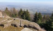 Randonnée Marche Ottrott - Mont Sainte-Odile - Tour du mur Païen - Photo 3