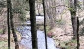 Tocht Stappen Sainte-Ode - rando lavacherie 16-03-2024 - Photo 11