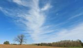 Randonnée Marche Jemeppe-sur-Sambre - en suivant Totemus - Photo 3