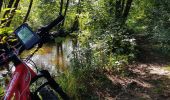 Excursión Bici de montaña Rambervillers - sortie vtt du 19082018 rambervillers - Photo 11