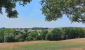 Trail Walking Thimister-Clermont - Along the Berwinne towards Val Dieu - Tourist ballad - Photo 3