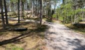 Tour Wandern Ormoy-le-Davien - Ormoy - Cave du diable  - Photo 4