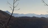 Trail Walking Mirabeau - MIRABEAU Ravin de Barbarrine , Bastide Blanche , le Ruth , Col des Penitents , la Colette , o l - Photo 8