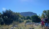 Excursión Senderismo Plan-d'Aups-Sainte-Baume - Tour Cauvin, Dent de Roque Forcade, grotte de la Grande Baume - Photo 8