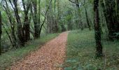 Trail Walking Beaumontois en Périgord - Labouquerie 16,3km - Photo 2