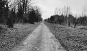 Randonnée Marche Rocroi - BruBer:Bourg Fidèle-Rimogne-Vieilles Forges - Photo 3