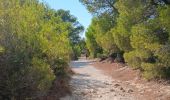 Tour Wandern Leucate - la franqui . phare de leucate .. retour via la falaise - Photo 3