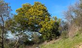 Tocht Stappen Mandelieu-la-Napoule - St Jean de Cannes - Photo 1