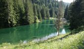 Trail Walking Vacheresse - LAC DARBON CHAROUSSE - Photo 4