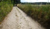 Trail On foot Bierbeek - Sint-Ermelindiswandelpad - Photo 4