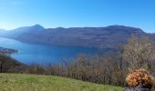 Tour Wandern Brison-Saint-Innocent - MONT DE CORSUET: BRISON ST INNOCENT - MEYRIEU - SOUS LA CHAMBOTTE - Photo 2