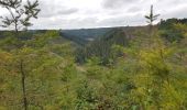 Randonnée Marche Malmedy - Les crêtes de la Warche - MDY 22 - Photo 4