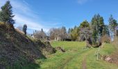 Trail Walking Lapleau - viaduc rochers noirs - Photo 3