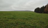 Tour Wandern Saint-Hubert - Awenne (Saint-Hubert)  - Photo 4