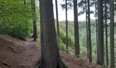 Tour Wandern Weismes - robertville . barrage . nez de napoléon.  reinhardstein . barrage . pont . robertville - Photo 20