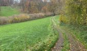 Tour Wandern Pepinster - Pepinster 10 Km - Photo 5