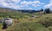 Excursión Bici de montaña Zicavo - Balade sur le plateau du Coscione - VTT - Photo 4