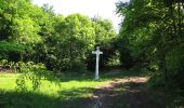 Randonnée Marche Trosly-Breuil - en forêt de Compiègne_28_les Tournantes sur le Mont Saint-Mard et sur le Mont Collet - Photo 17