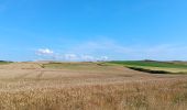 Trail Walking Tardinghen - parking du chapelet  - batterie todt, via campagne, retour par les falaises - Photo 8