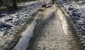 Tour Wandern Libin - GR des Abbayes km - Photo 7