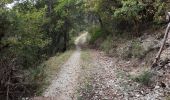 Trail Walking Vercheny - Château de Barry - Photo 4