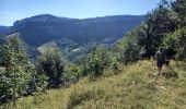 Trail Walking Izeron - La lunette- fontaine et grotte de Byry - Photo 14