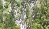 Trail Walking Saint-Martin-d'Uriage - cascade de l'oursiere 2019 - Photo 7