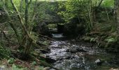 Tour Wandern Vresse-sur-Semois - Rando au départ de Bohan  - Photo 7