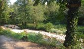 Percorso Mountainbike Le Frasnois - Jura - Boucle des 5 lacs  - Photo 4