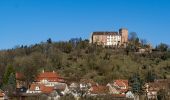 Tour Zu Fuß Werbach - Rundwanderweg Gamburg 4 - Photo 2