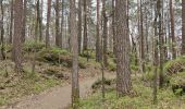 Trail Walking Unknown - Parc naturel de Kristiansand  - Photo 19