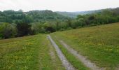 Tour Zu Fuß Unknown - Downlands Circular Walk - Photo 9