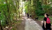 Tocht Stappen Claix - Le plateau de Peuil - Photo 1