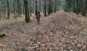 Trail Walking Saint-Hubert - adeps St Hubert  - Photo 4