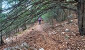 Trail Walking Plan-d'Aups-Sainte-Baume - Les béguines ste beaume Martine - Photo 5