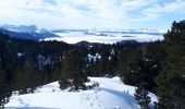 Tour Schneeschuhwandern Vaulnaveys-le-Haut - Col De la Botte en circuit - Photo 1