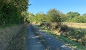Trail Walking Nogaro - GR 65 Nogaro > Aire sur Adour - Photo 2