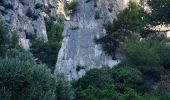 Tour Wandern Marseille - Calanque d'en Vau - Photo 14