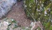 Trail Walking Choranche - reco tunnel Arbois  - Photo 2