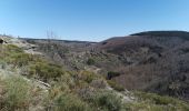 Tour Wandern Mont Lozère et Goulet - St Julien du Tournel - Photo 4