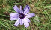 Tour Wandern Saint-Auban - st-auban lu 22-07-24 - Photo 2