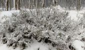 Percorso Marcia Spa - berinzenne entre fagne et bois dans le brouillard - Photo 2