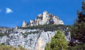 Excursión Senderismo Châtillon-en-Diois - Cirque d'Archiane - Les Hauts Plateaux du Vercors - Photo 3