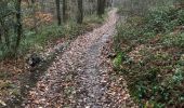 Trail On foot Sprimont - Louveigne-Andoumont-louveigne 9 Km - Photo 3