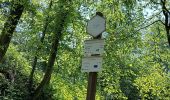 Trail Walking Bièvre - Bellefontaine 250521 - Photo 4