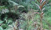 Tour Wandern Le Lorrain - Boucle Dorival - Cledelin - Carabin - Vallon - Photo 6