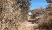 Tour Wandern Saint-Maurice-Navacelles - GRP La Vaquerie - Photo 2