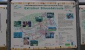 Excursión A pie Dautphetal - Extratour Streuobstroute - Photo 1