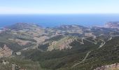 Trail Mountain bike Collioure - Circuit Collioure-Tour de la Madaloc - Photo 4