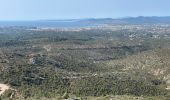 Trail Walking Fréjus - Depuis la Louve en boucle - Photo 3